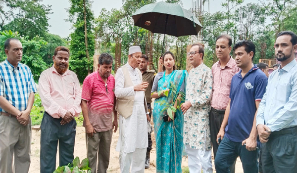 জৈন্তিয়া কেন্দ্রীয় পরিষদের উদ্যোগে বৃক্ষরোপণ কর্মসূচি সম্পন্ন