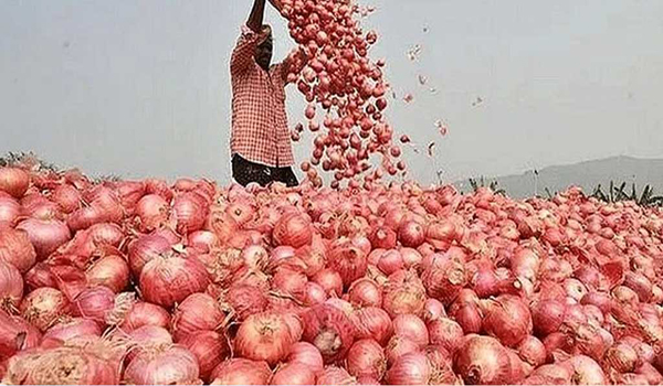 পেঁয়াজ রপ্তানিতে নিষেধাজ্ঞা তুলে নিলো ভারত