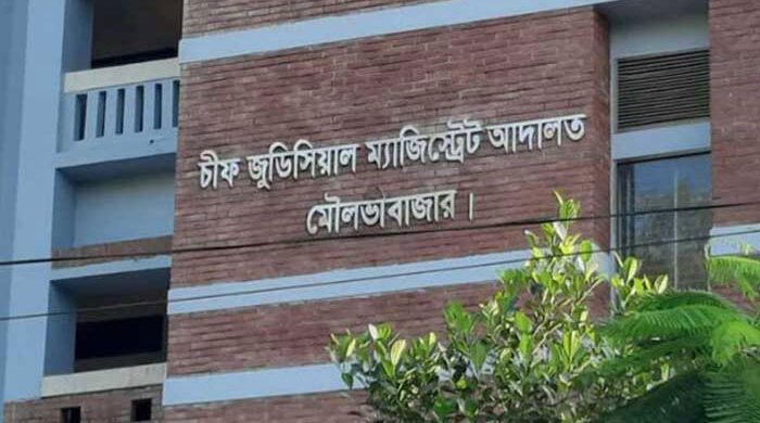 আদালতের বিচার কার্যক্রম মোবাইলে ধারণ করতে গিয়ে আটক