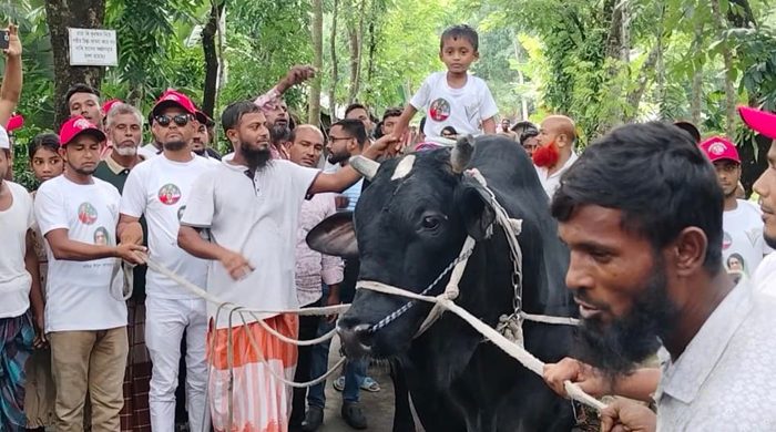 খালেদা জিয়াকে উপহার দিতে ৩৫ মণের ‘কালো মানিক’ নিয়ে ঢাকার পথে সোহাগ