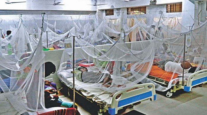 ডেঙ্গুতে আরও ৫ জনের মৃত্যু, হাসপাতালে ৬৩৬