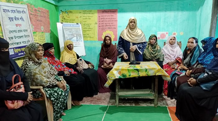 ৩১ দফা কর্মসূচি বাস্তবায়নে ধানের শীষকে বিজয়ী করতে হবে : দিনা রহমান
