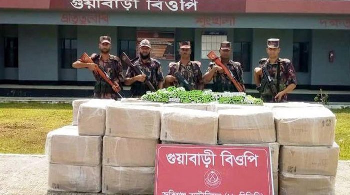 জৈন্তাপুর সীমান্তে বিপুল পরিমাণ ভারতীয় ওষুধ জব্দ