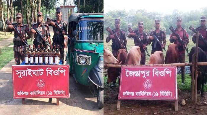 জৈন্তাপুর ও কানাইঘাটে বিপুল পরিমান ভারতীয় মদ ও গরু জব্দ