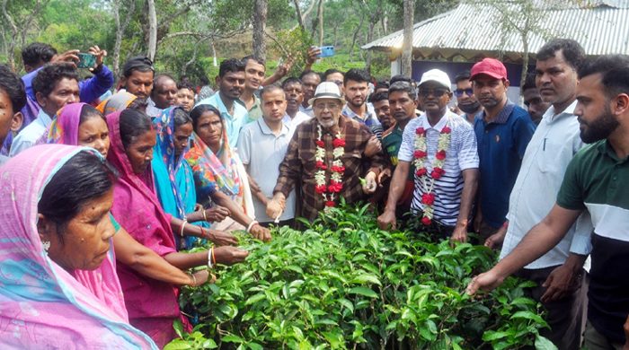 মালিক-শ্রমিক ঐক্যের মাধ্যমে চা শিল্পের ঐতিহ্য ফেরাতে হবে: ড. রাগীব আলী