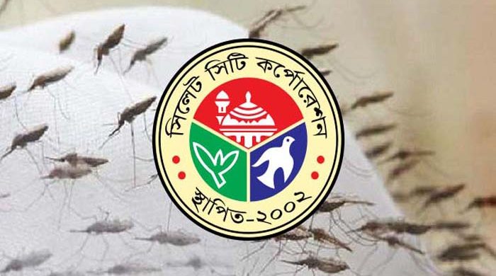 মশার অসহনীয় উপদ্রবে অতিষ্ঠ নগরবাসী