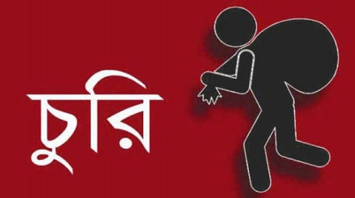 নগরীর বাদাম বাগিচায় বাসায় ঢুকে ৮টি মোবাইল চুরি, থানায় জিডি