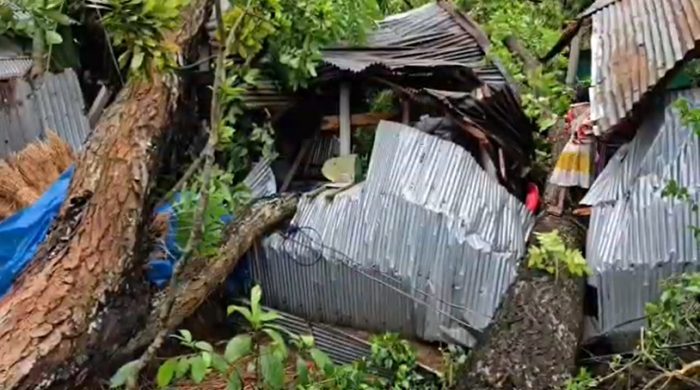 মধ্যরাতে ঠাকুরগাঁওয়ে কালবৈশাখী ঝড়ের তাণ্ডব, ব্যাপক ক্ষয়ক্ষতি
