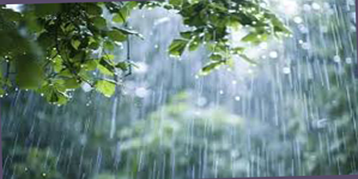 শক্তিশালী বৃষ্টি বলয় ‘ঝুমুল’ সিলেট বিভাগে প্রভাব বেশি পড়বে