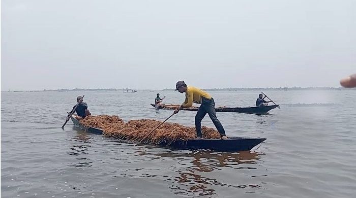 শাল্লায় পানির নিচে তলিয়ে গেছে ৩৫০ কোটি টাকার ধান-খড়