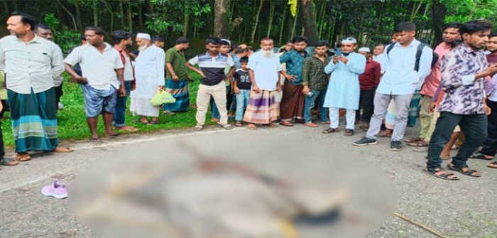 সিলেট-তামাবিল সড়কে প্রাণ গেল কিশোরীর