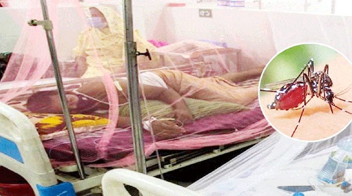 সিলেট বিভাগে ডেঙ্গু আক্রান্ত বেড়ে ১০৯