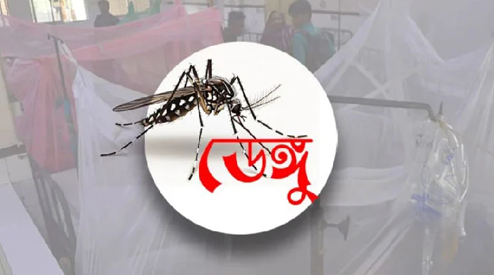 ডেঙ্গুতে মৃত্যুহীন দিন, নতুন আক্রান্ত ৫৫০