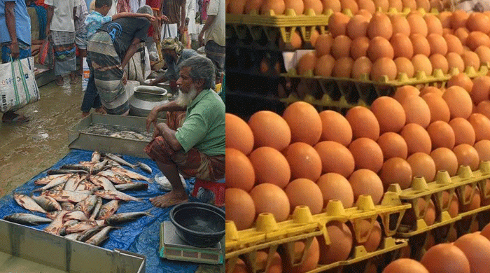 ডজনে ১০ টাকা কমেছে ডিমের, অপরিবর্তিত মাছ-মাংসে দাম
