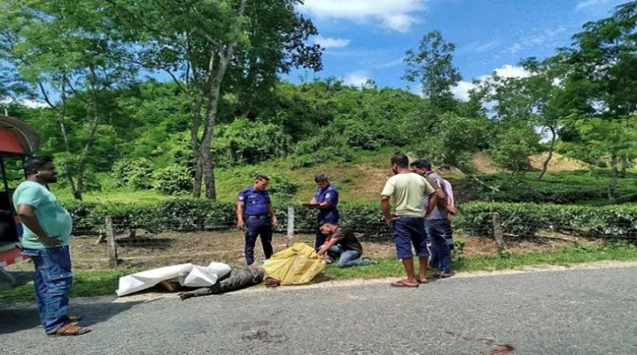 হবিগঞ্জে সড়কে প্রাণ গেল ব্যবসায়ীর