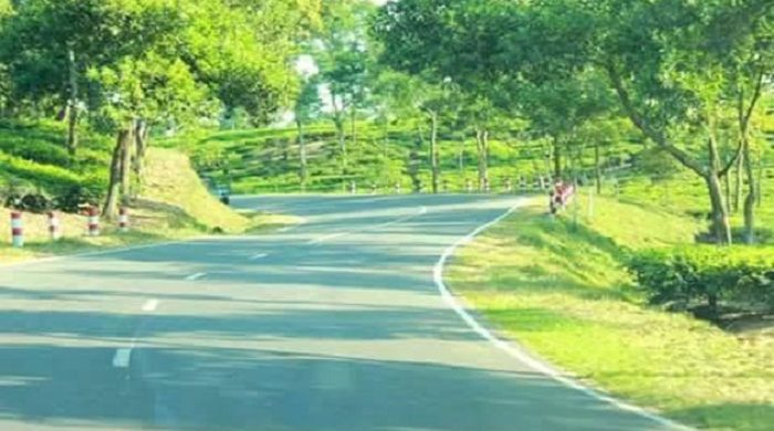 এয়ারপোর্ট রোড, চা-বাগানের ভেতর দিয়ে হবে নতুন সড়ক
