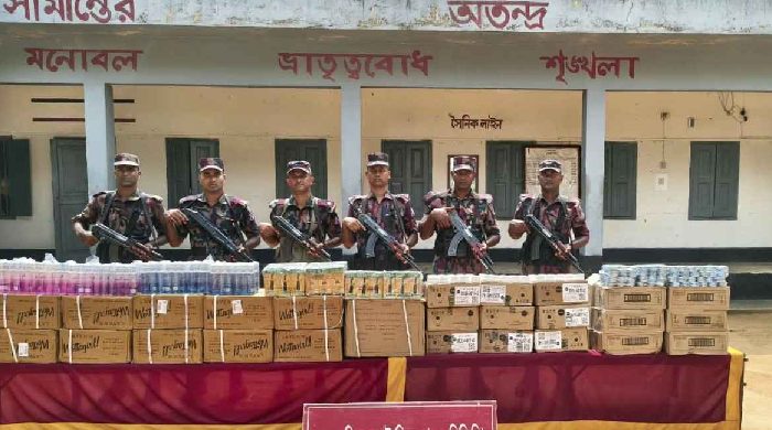 সীমান্তে ভারতীয় প্রসাধনীর বড় চালান, জব্দ করলো বিজিবি